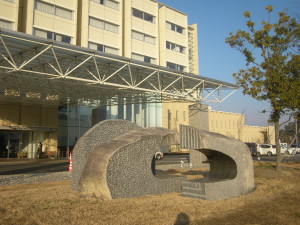 RIMG0728